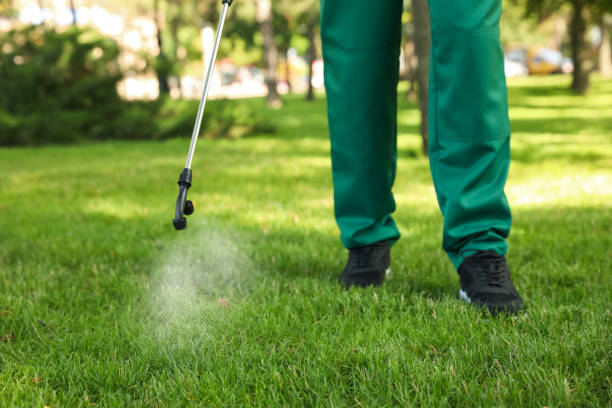 Best Best Pest Control Companies  in Los Gatos, CA