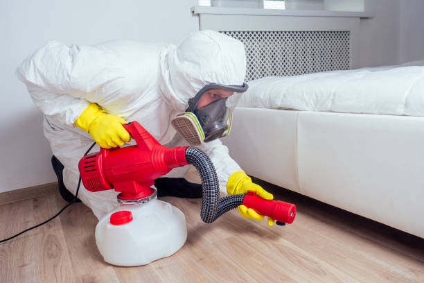 Best Flea Control Services  in Los Gatos, CA