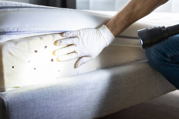 Best Pest Control for Businesses  in Los Gatos, CA