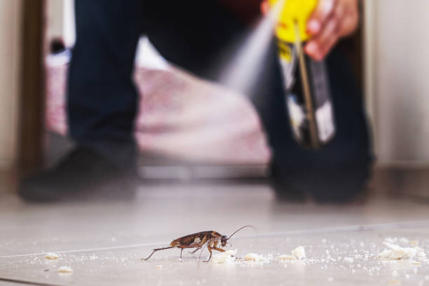 Pest Control for Restaurants in Los Gatos, CA