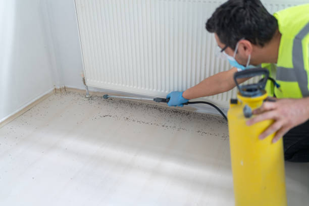 Best Termite Control Services  in Los Gatos, CA