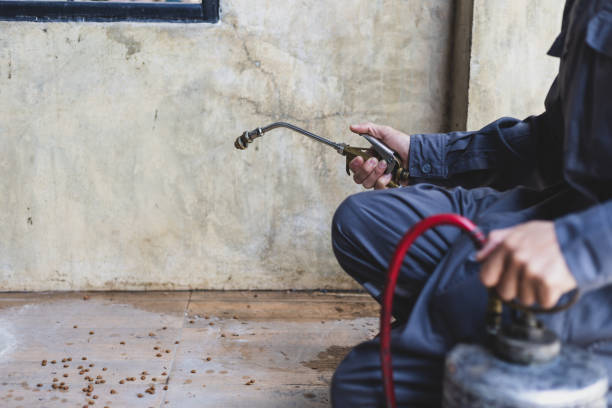 Best Affordable Pest Control Services  in Los Gatos, CA